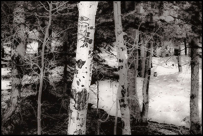 Classic Images - Black and White Photography