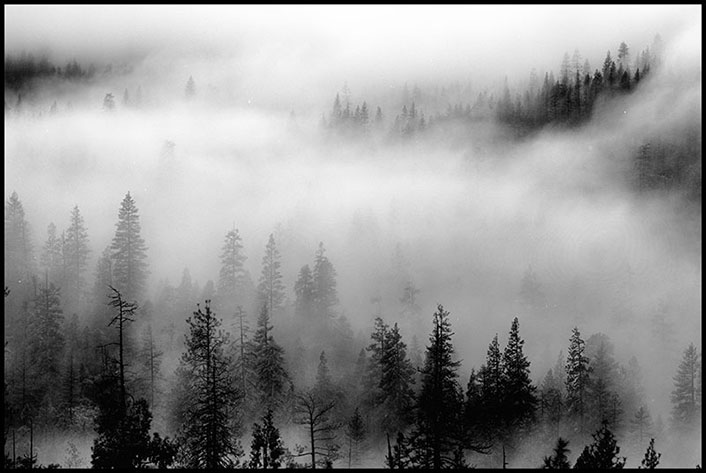 Classic Images - Black and White Photography