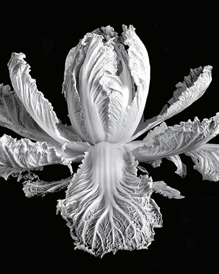 Classic images black white photography